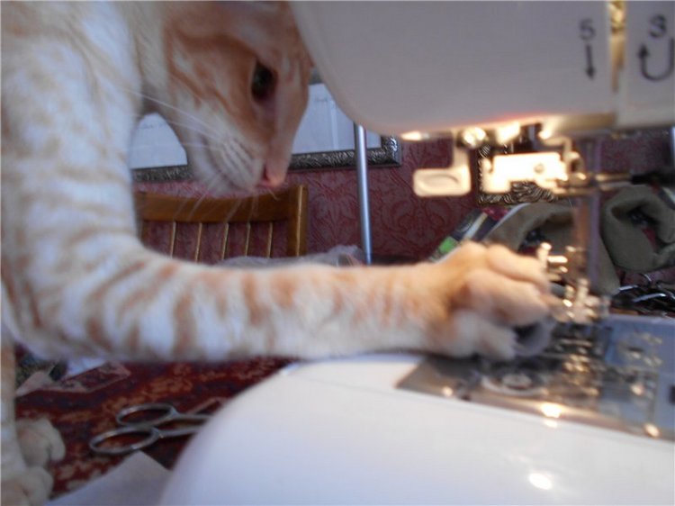 Как я с помощниками шила наряд для Аделины (фото 9)