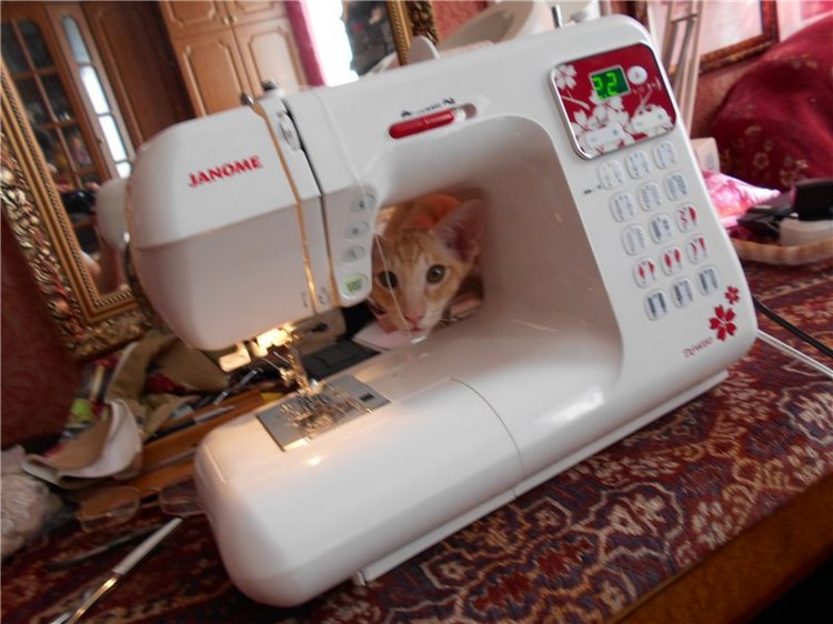 Как я с помощниками шила наряд для Аделины (фото 7)