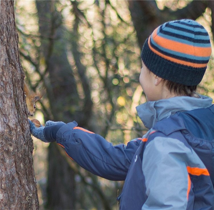 Прогулка в осень... или в гостях у белочек