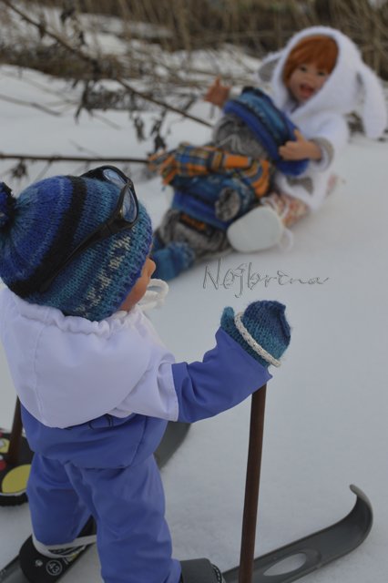 Двое в санках, не считая кота...Вихтели Rosemarie Anna Muller