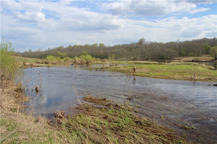 На водопад с Райли. Riley от автора Helen Kish