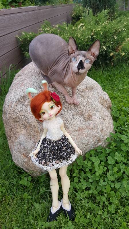 Василиса Морковкина — Куклы Lillycat (Лиликет) (фото 9)