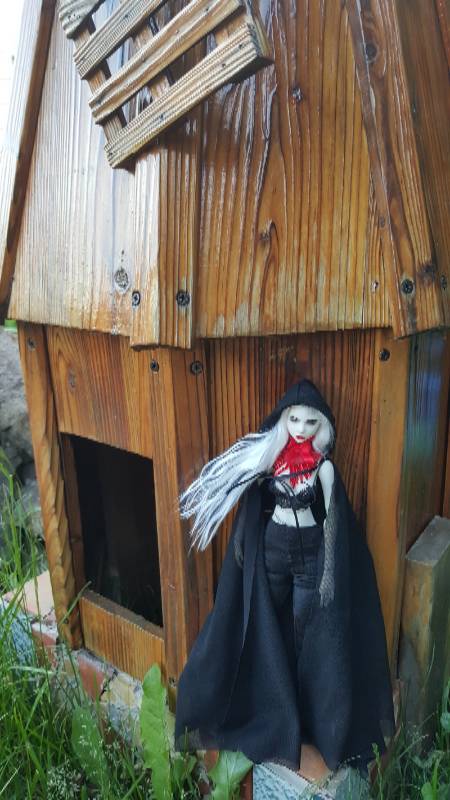 Призрак и тьма — Фотоистории с куклами BJD (БЖД): сериалы (фото 5)