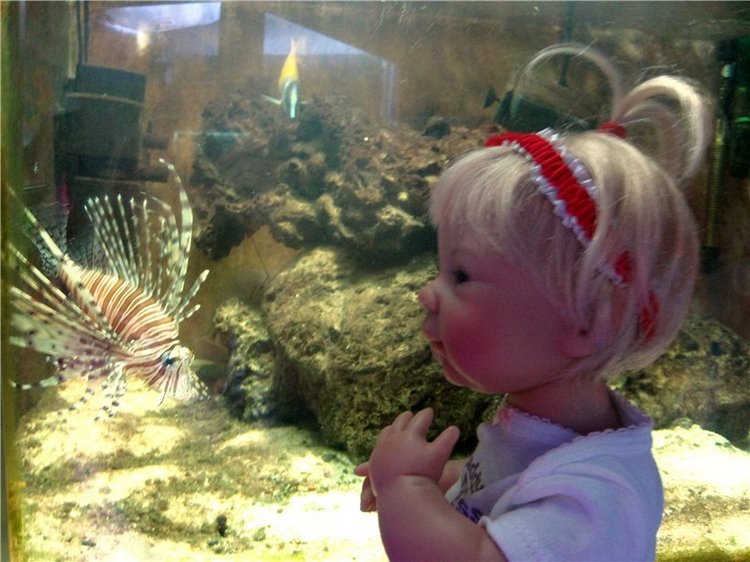 Лето. Солнце. Море. Всё смешалось - звери, куклы. Часть2 | Бэйбики Лето. Солнце. Море. Всё смешалось - звери, куклы. Часть2