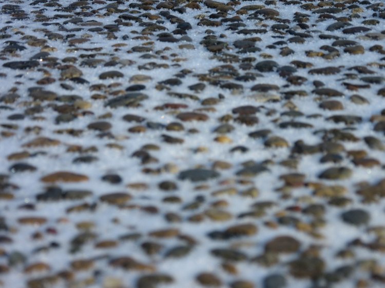 Утренняя прогулка в парке Горького с Соломоном и Анхен, или О сложностях гуляния с собакой и куклой одновременно