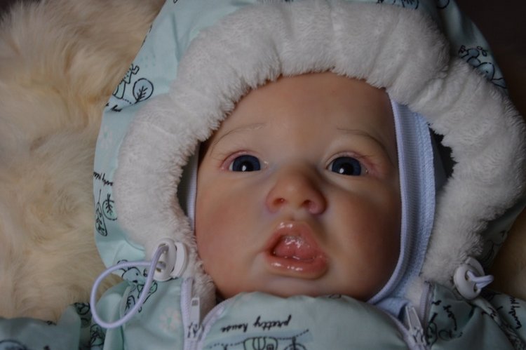 Еще одна Саксия... Еще один пацанчик