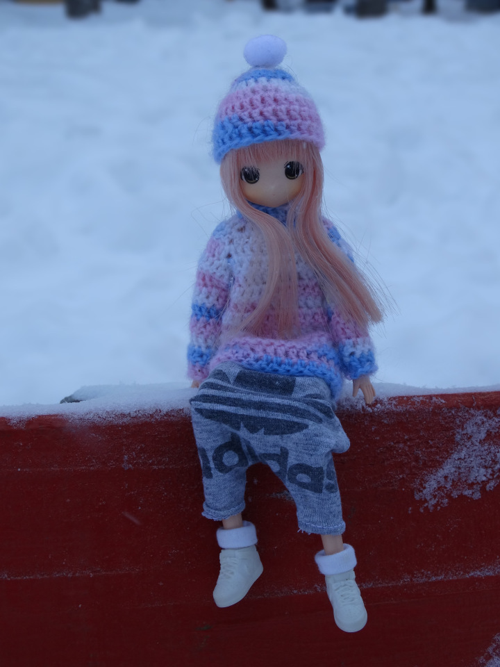 Банни и её ослик — Аниме куклы (MJD/Винил): Imomo