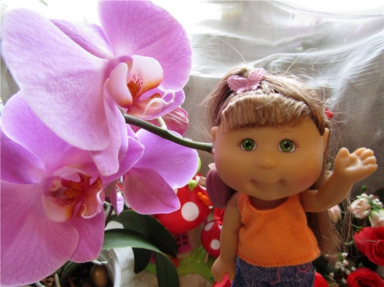 Новый дом для Лилочки — Куклы Cabbage Patch Kids (Капустки): винтаж 80