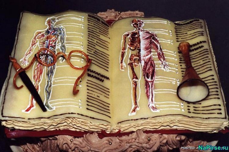 Топик про тортики — Интересное и необычное: фотоподборки (фото 8)