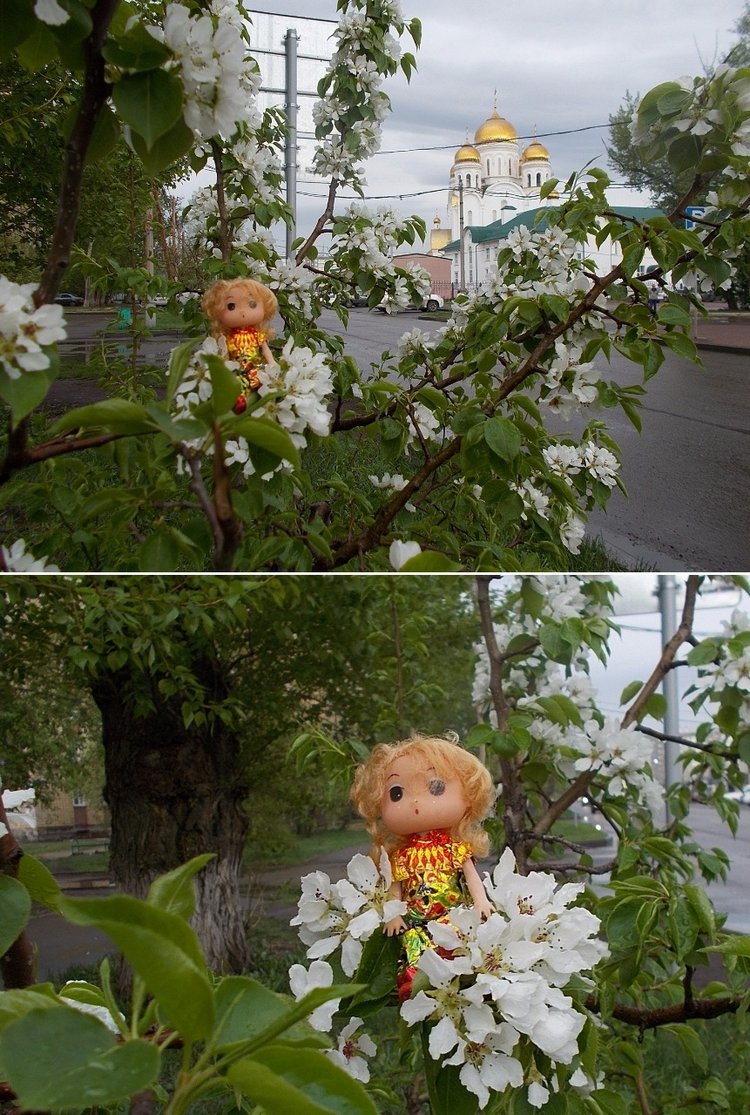 Майские денёчки — Болталка и разговоры обо всем: жизнь (фото 4)