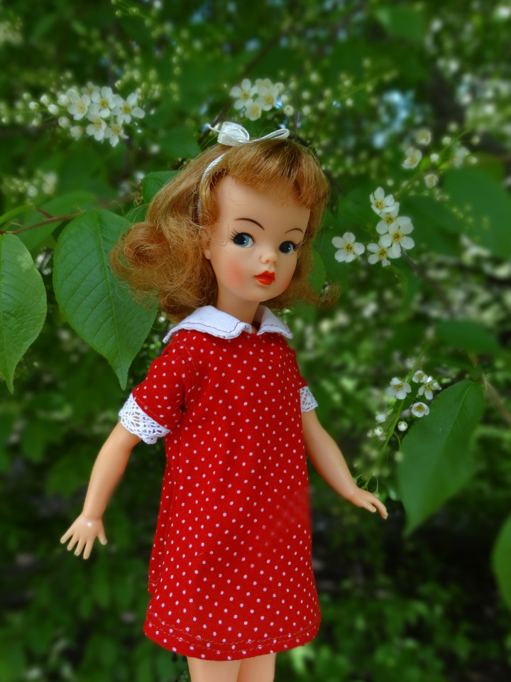 Тамми приехала — Куклы Sindy (Синди) и Tammy (Тамми): винтаж (фото 9)