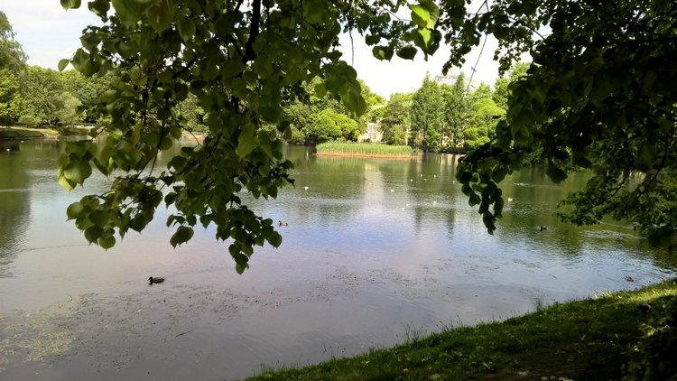 Как сложно быть самой собой