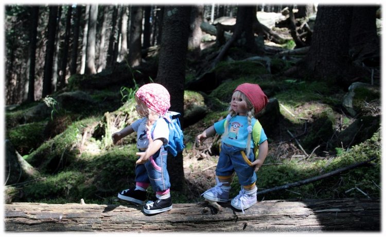 Как мы горы покоряли — Куклы Rosemarie Anna Muller (Мюллер): Вихтели (Wichtel)