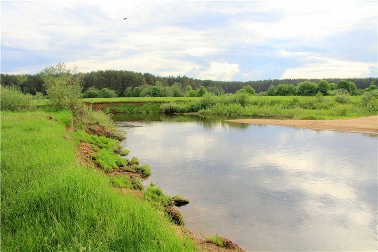 Просто Соня. Уникальные куклы от Сильвии Наттерер | Бэйбики Просто Соня. Уникальные куклы от Сильвии Наттерер