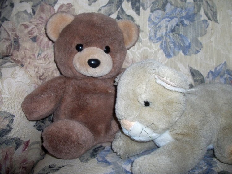 Мои спасенные зверики — Болталка и разговоры обо всем: жизнь