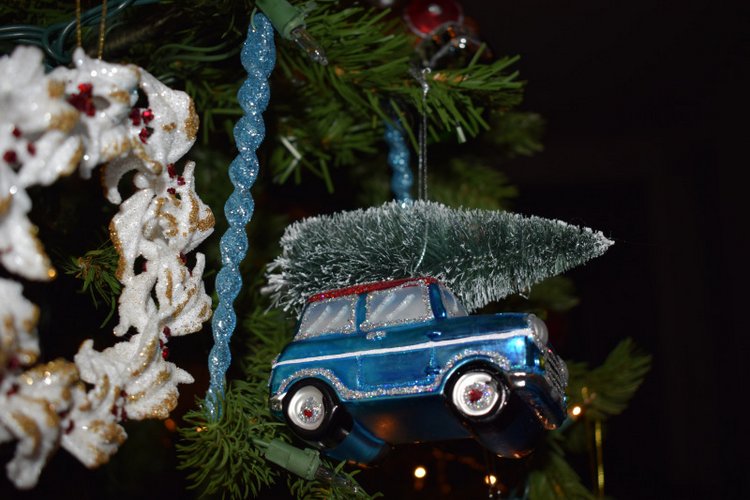 Болталка и разговоры обо всем: жизнь