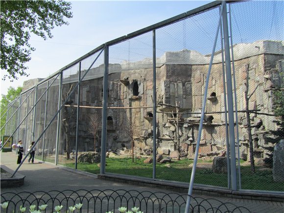 Наша традиционная майская прогулка по Московскому зоопарку