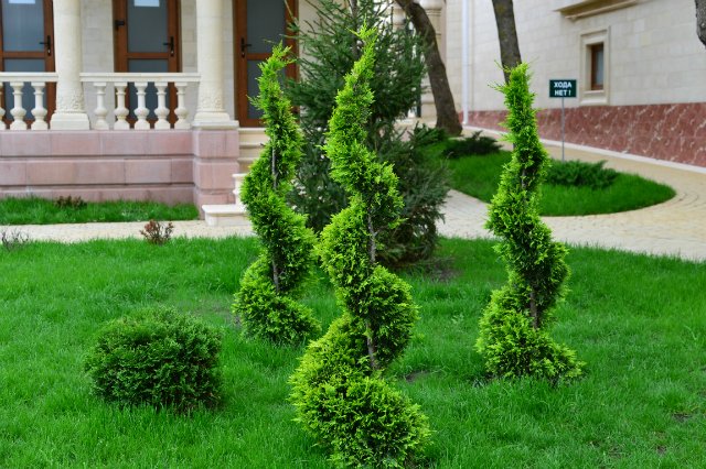 Старый парк — Туризм и путешествия: фотоотчеты из поездок