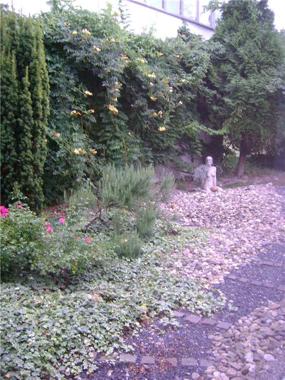 Моя поездка в музей Hildegard Günzel. Часть первая - Начало поездки и встреча