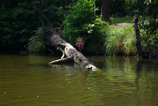 Приезжайте в Кратово — Туризм и путешествия: фотоотчеты из поездок
