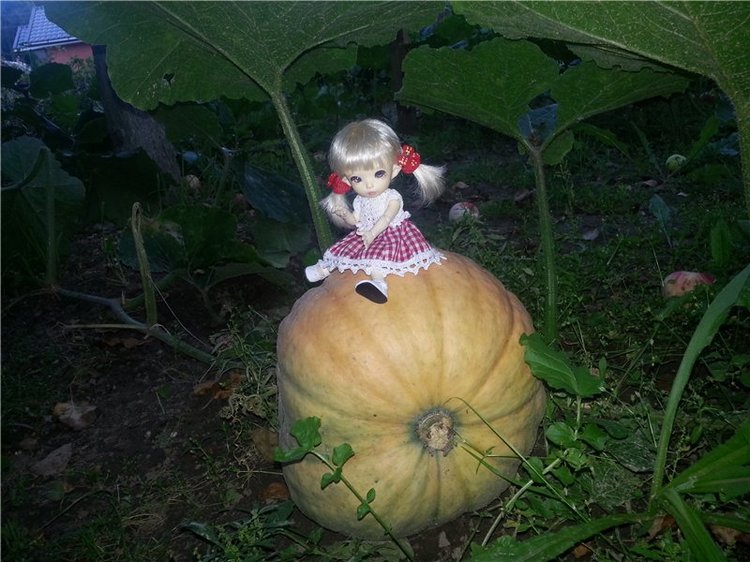 Маленькая дачница Элис. Кукла БЖД Пукифи Анте