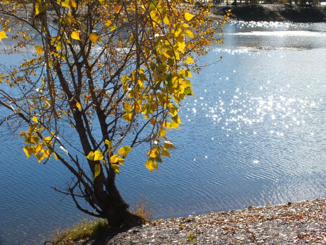 Осень золотая пора. Натали, LUTS (мейк от WOLKOLAK) (фото 2)