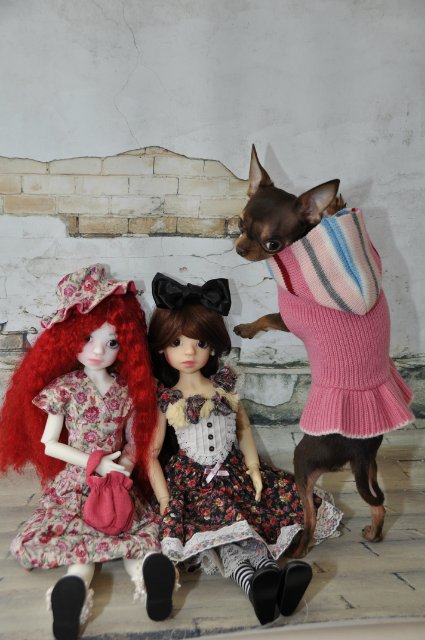 Иззи от Кайе Виггз. Мои маленькие нежные девочки. Ну разве не красотки | Бэйбики Иззи от Кайе Виггз. Мои маленькие нежные девочки. Ну разве не красотки