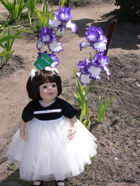 Продолжение прогулка в Ботаническом саду Санкт Петербурга. Часть 2. Иридарий | Бэйбики Продолжение прогулка в Ботаническом саду Санкт Петербурга. Часть 2. Иридарий