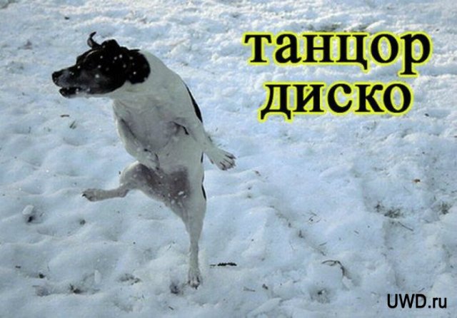 Понедельник - день тяжёлый | Бэйбики Понедельник - день тяжёлый