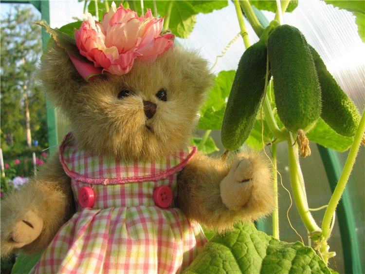 Моя семейка плюшевых мишек Bearington (фото 7)