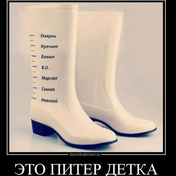 После дождичка в четверг — Болталка и разговоры обо всем: жизнь (фото 3)