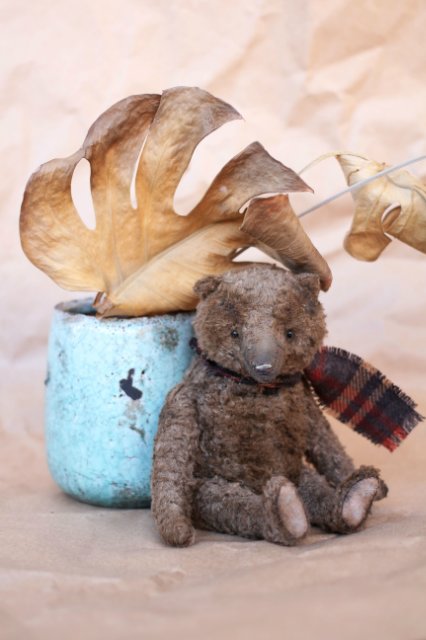 Старенький мишка Анис. Авторская игрушка Татьяны Матляк (фото 4)