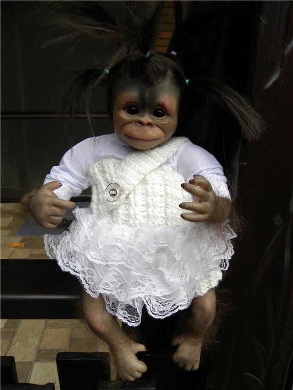 Необычное пополнение в моем доме (фото 7)