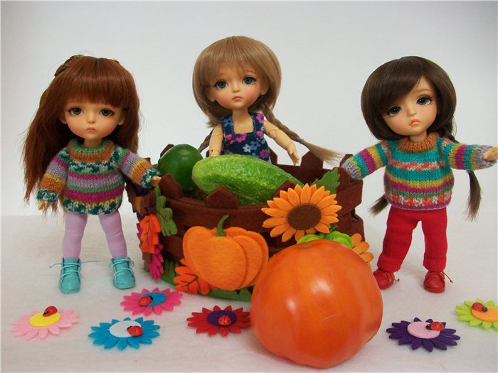 Как латишки урожай собирали (фото 5)