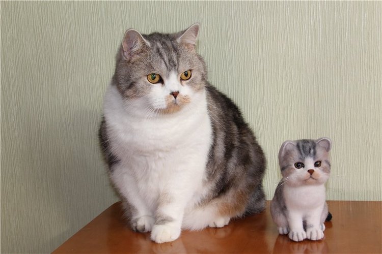 Котик Дени. Авторская игрушка Анны Ястрежембовской