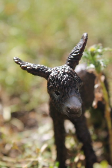 Раз, два, три, четыре, пять... Вышел ослик погулять | Бэйбики Раз, два, три, четыре, пять... Вышел ослик погулять (фото 5)