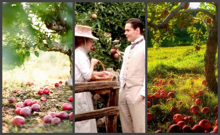 ЭНН ИЗ ЗЕЛЕНЫХ КРЫШ. ПОВАРЕННАЯ КНИГА. Рецепты из книги "Энн из Зеленых Крыш". Часть вторая