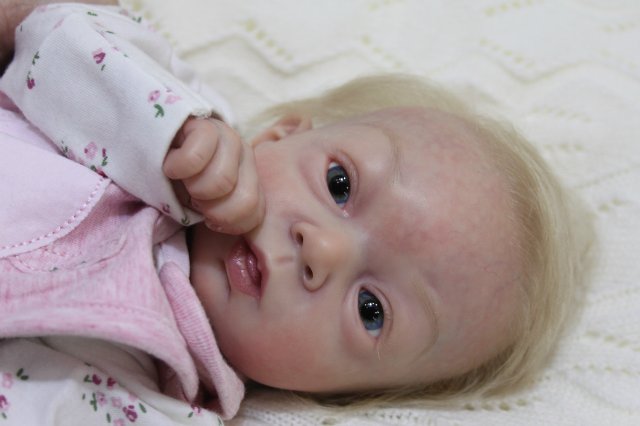 Х Московская международная выставка МишкаГрад 2016 (фото 3)