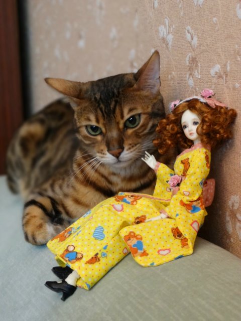 Метелька и её новый друг | Бэйбики Метелька и её новый друг — Куклы Souldoll (Соулдолл): BJD (БЖД)