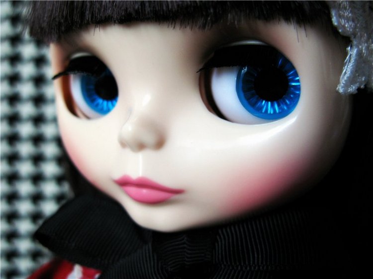 Леди Камелия. Hasbro Takara Neo Blythe doll Lady Camellia