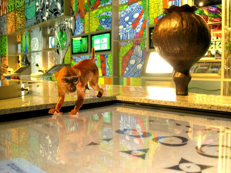 День в музее. Анжела в Государственном Дарвиновском музее