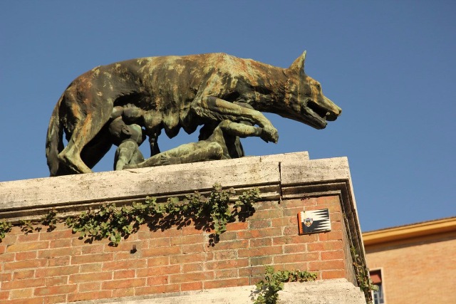 Приключения Минуш в Италии. Часть 5. Сиена. Современное средневековье (фото 3)