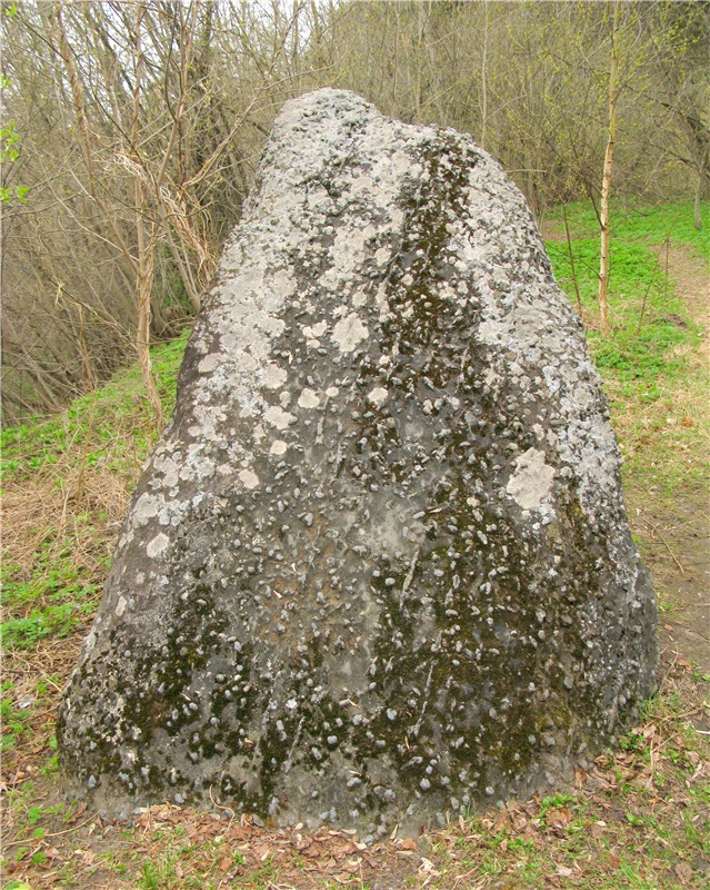 Майский день в Митино — Туризм и путешествия: фотоотчеты из поездок