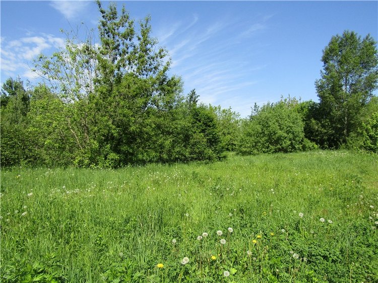 Непоседа Бетси Robert Tonner. Летний день в парке (фото 10)