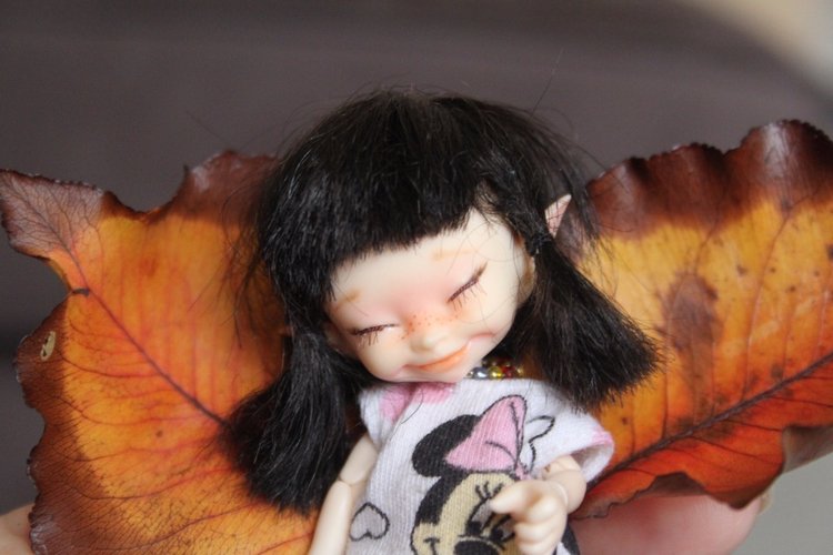 Осень в Австралии — Одежда и обувь для кукол BJD (БЖД): 1/3