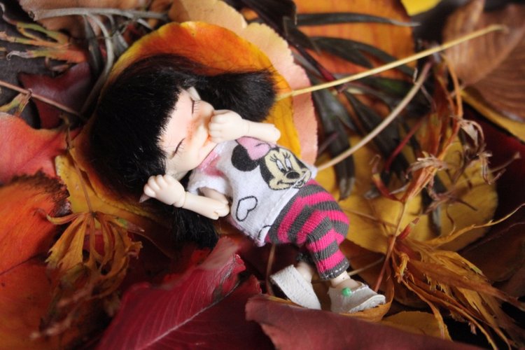 Осень в Австралии — Одежда и обувь для кукол BJD (БЖД): 1/3