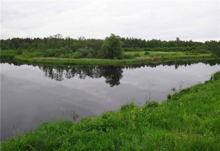 Китти и Гретхен на Орше — Куклы Gabriele Muller (Габриэле Мюллер): немецкий фарфор (фото 4)