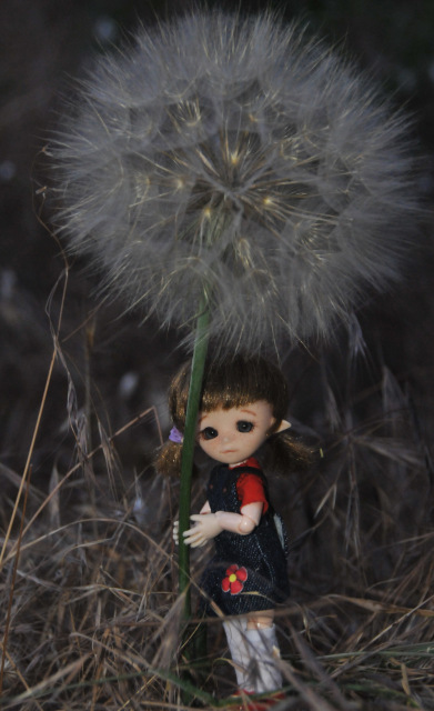 Витражная сказка-3 — Куклы и тела Obitsu (Обитсу): 1/6 (фото 3)