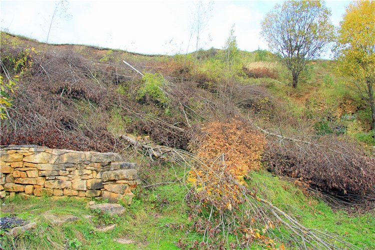 Тверской Водопад — Туризм и путешествия: фотоотчеты из поездок