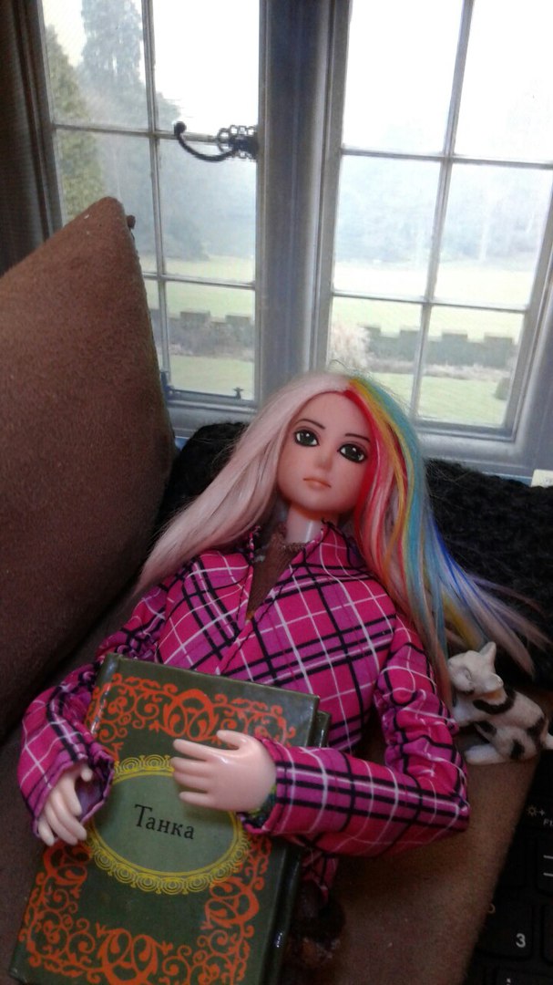 Зимнее солнце. Глава 10. Джаред из семьи Фоксов